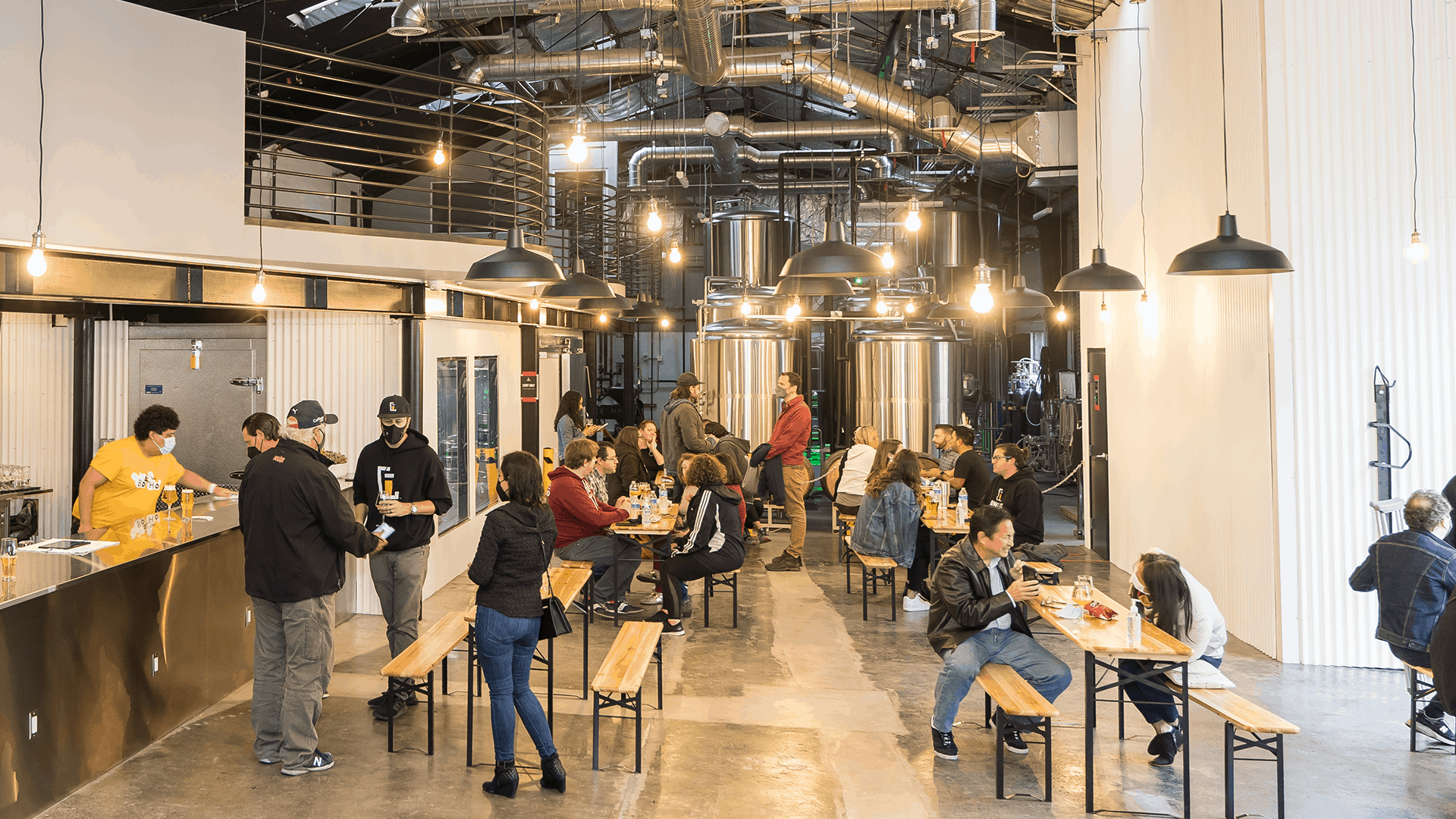 Lawless Brewing Co. in North Hollywood, CA Hopped